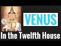 Venus in Twelfth House (Venus12th House) Vedic Astrology
