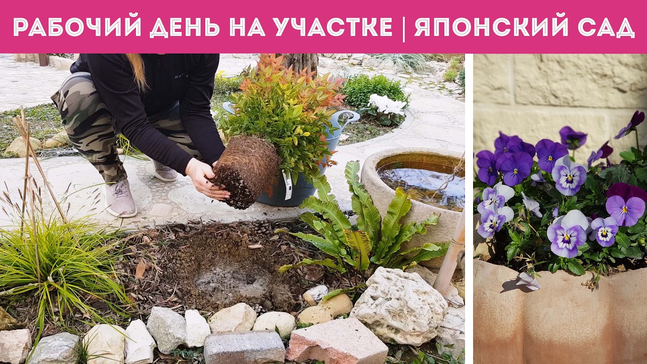 ⭐Гармония в деталях: работаю В ЯПОНСКОМ САДУ. Уборка и посадка ч. 1/2