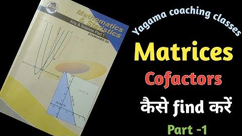 How to find Cofactors of 2×2 Matrix। Class12th। Minor & Cofactors। Exercise 2.2