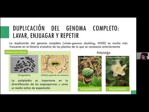 Vídeo: Evolução Da Arquitetura Do Genoma Vegetal