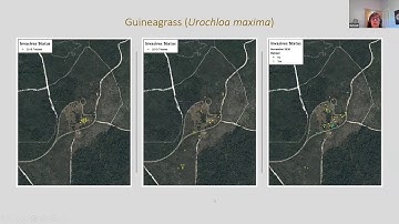 Betsie Rothermel "Restoring sandhill and managing ruderal habitat for Gopher Tortoises..."