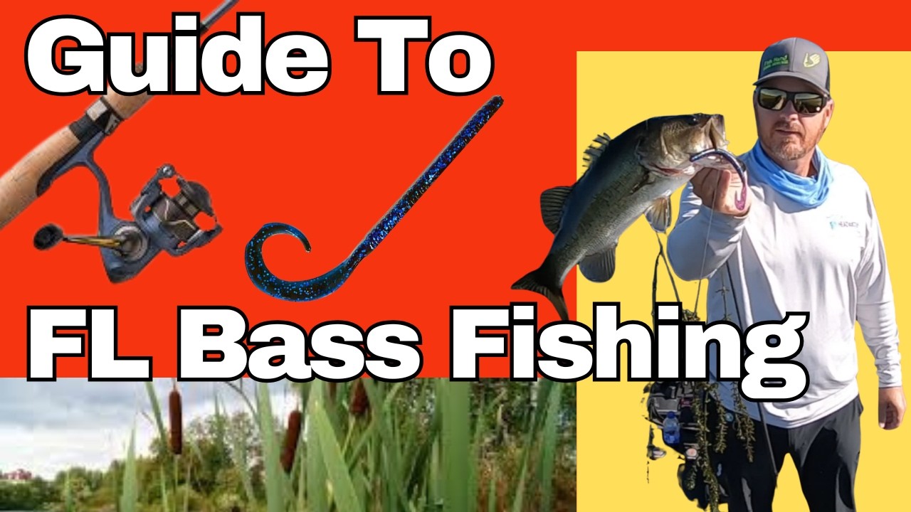Beginner’s Guide to Bass Fishing in Florida | Rod, Lures, Lake Structure + How to Rig