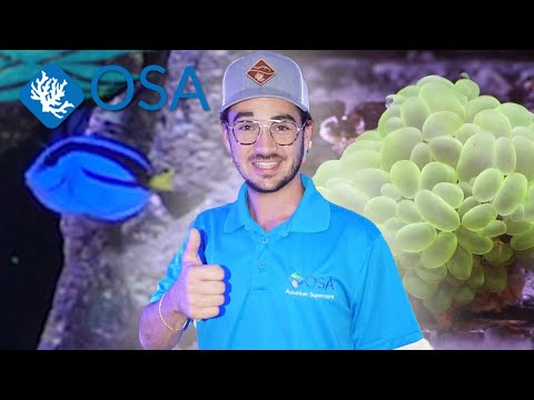 New Saltwater FISH & CORAL at OSA!
