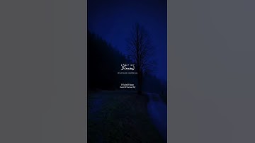 (كتب على نفسه الرحمة) | Surah Al-An'aam (12) | سورة الأنعام (١٢) | Yasser Al Dossary | ياسر الدوسري