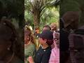 You need to see this amazing 😍 wedding 💍 proposal #fyp #trend #proposal