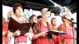 Festyn Dożynkowy W Dolicach 2011 - Występ Klubu Złota Jesień Dolice