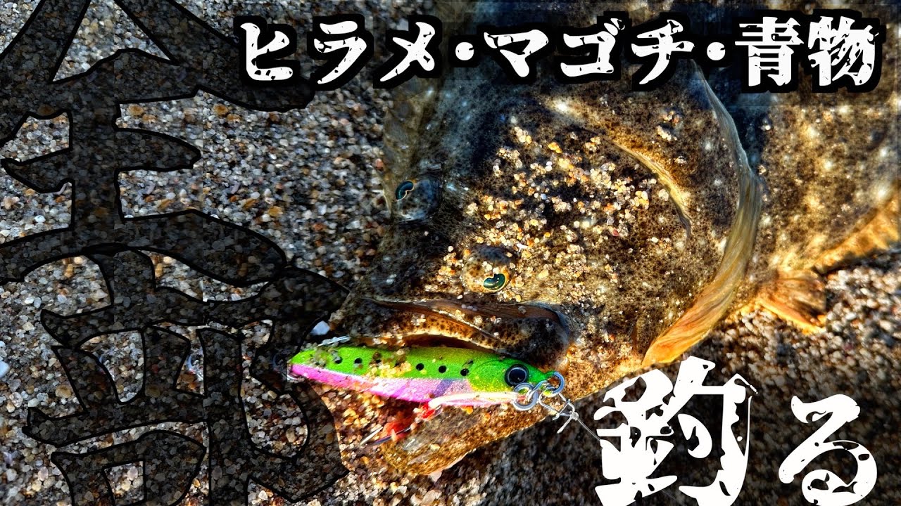 全部釣りたい人必見】サーフから全部釣る！ヒラメ・マゴチ・青物が