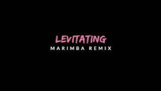 Dua Lipa - Levitating (Marimba Remix) Marimba Ringtone - iRingtones [Download]