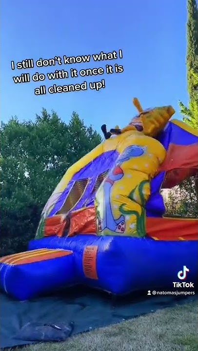 How to remove mildew and mold from bounce house
