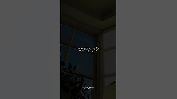 #عبدالرحمن_مسعد #قرآن #تلاوة_خاشعة #راحة_نفسية #تلاوة_هادئة #quran #islam #تلاوات