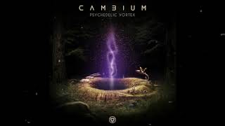 Cambium - Infinity [Alchemy Records]