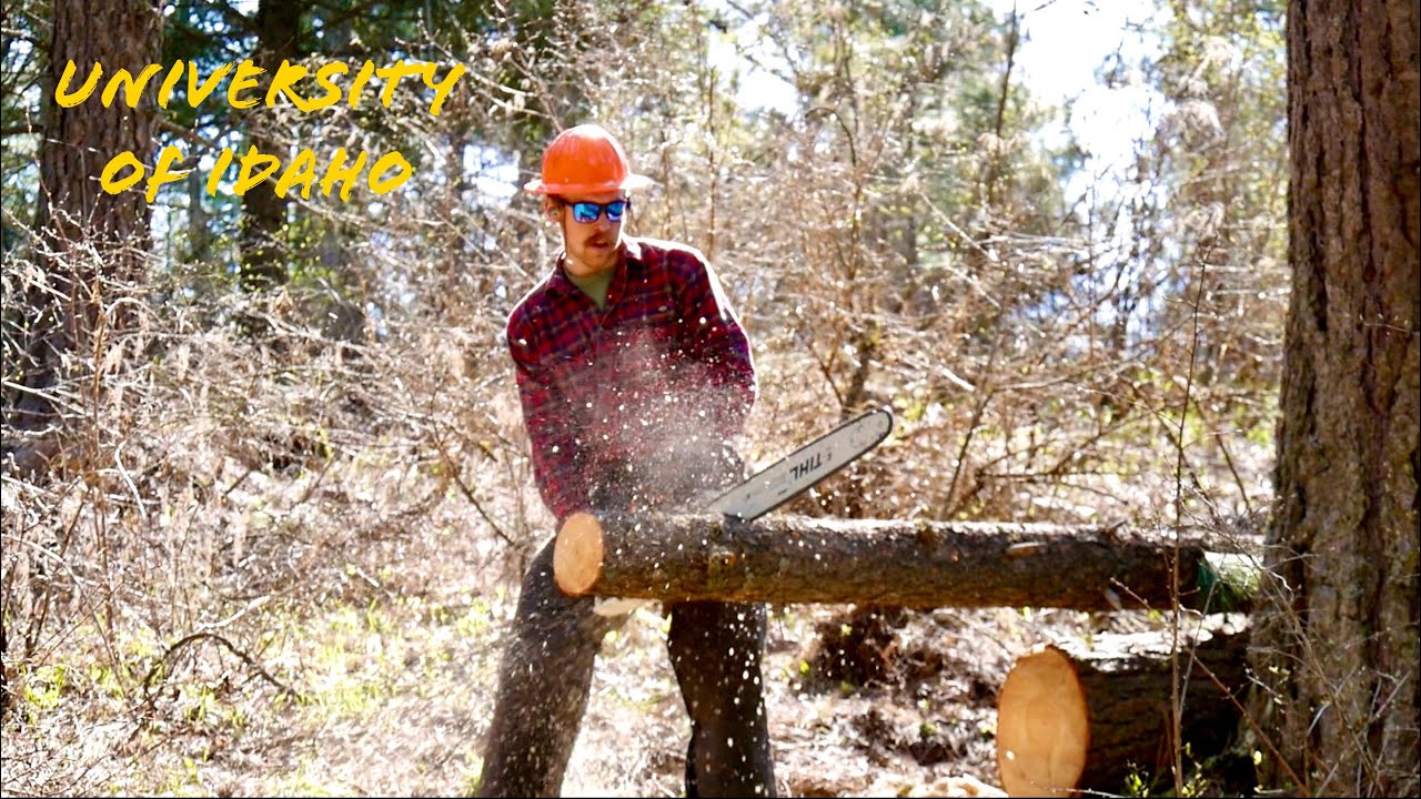 University of Idaho - Student Association for Fire Ecology