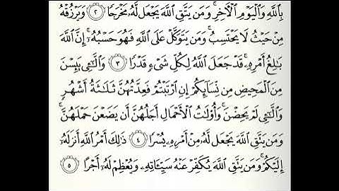 تلاوات مختارة سورة الطلاق القارئ ناصر علي الغامدي