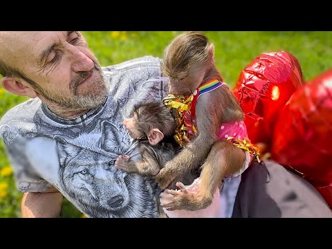 Праздники закончились, у Степашки и Люси обычное утро, но Люся НЕ СДАЕТСЯ и продолжает веселье!