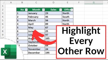 How to Highlight Every Other Row in Excel (Quick and Easy)
