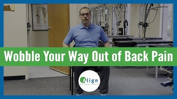 Wobble Cushion Exercises for Lower Back Pain | How to Use a Wobble Cushion