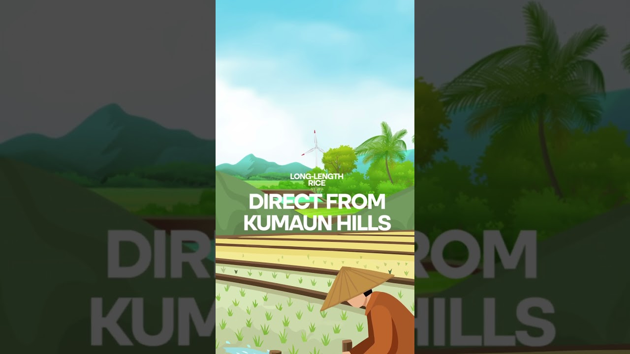 Long Grains, Pure Aroma 🌿 | Kumaun Hills 1401 Basmati Rice 