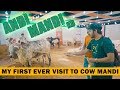 ANDI MANDI - My First Ever Visit To COW MANDI | Mansoor Qureshi MAANi