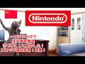 【任天堂VS中国】中国ゲーム市場崩壊の真相!#猫マニ #猫ミーム