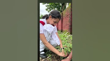 wearing the uniform for the last time❤️‍🩹! #grwm #shorts #class12 #sad #school school girl vlog