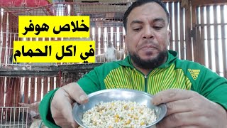 بالطريقه دي هوفر اكل الحمام والكلفه عندي وهستفاد ماديا كمان