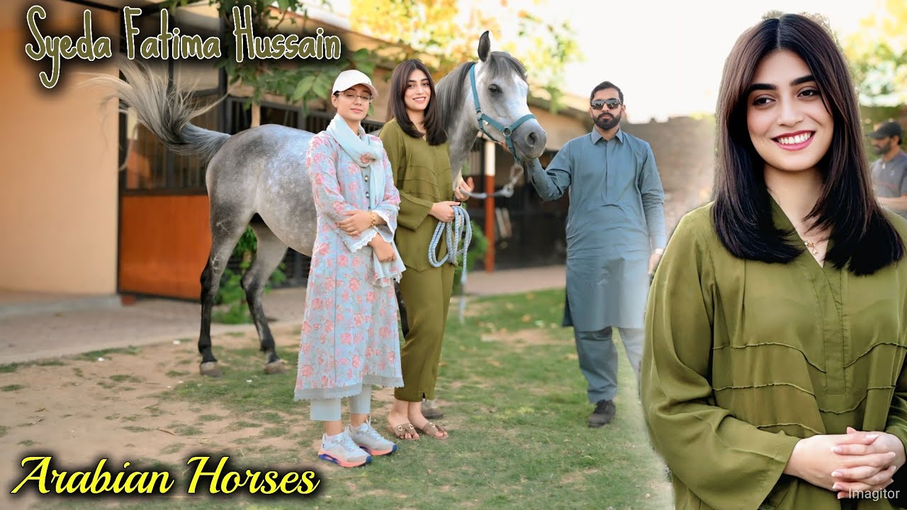 Syeda Fatima Hussain talk about Arabian Horses - T4 Tamasha - world Championship Horses