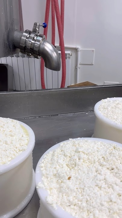 Варим Старый Амстердам 🤪 #рецепты #сыр #обзор #еда - YouTube