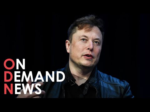 How Did Elon Musk Lose a RECORD-BREAKING Fortune?