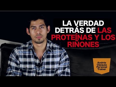 LAS PROTEÍNAS Y