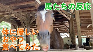 【馬たちの反応】開発中の馬の体に優しいおやつを食べてみた