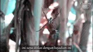 Sabrang Mowo Damar Panuluh story WA | ilmu ikhlas