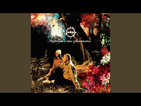 Nightmares on Wax — Mind Eye