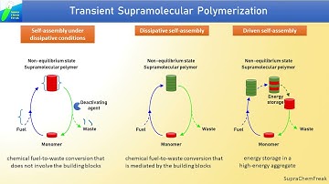 Transient Supramolecular Polymerization