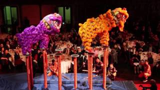 Jin Wu Koon & Yau Kung Mun - Town Hall Sydney - June 2017