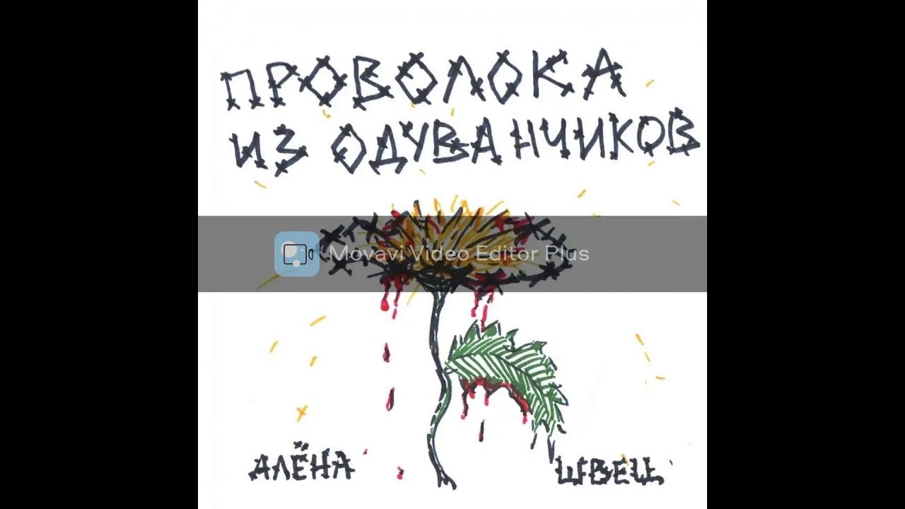 Песня алены швец песня ведьм текст. Алена Швец ведьма. Алена Швец ведьм у нас сжигают. Ведьм у нас сжигают текст Алена Швец.