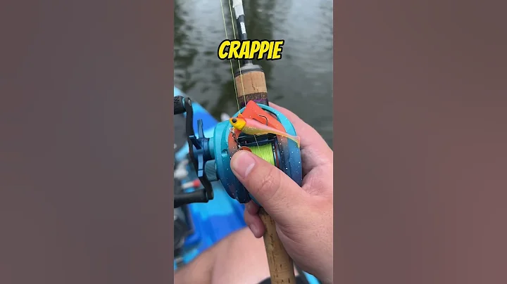 This BFS Reel LAUNCHES Crappie Baits!