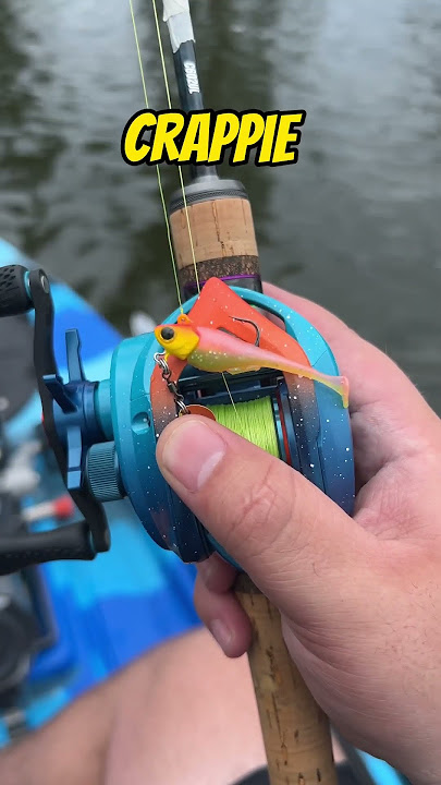 This BFS Reel LAUNCHES Crappie Baits!
