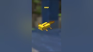 Everything You Need to Know About Axolotls in Minecraft  #minecraft #MobShowcase #minecraftshorts