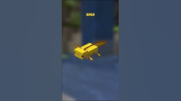 Everything You Need to Know About Axolotls in Minecraft  #minecraft #MobShowcase #minecraftshorts