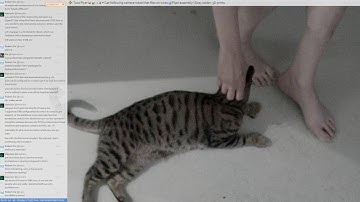 Still streaming that 3D printed bot build @scanlime-in-progress