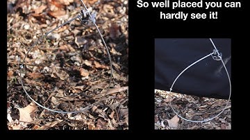 Setting a Snare Trap