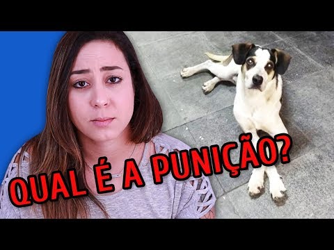 Vídeo: Quem Está Matando Animais No Tartaristão? - Visão Alternativa