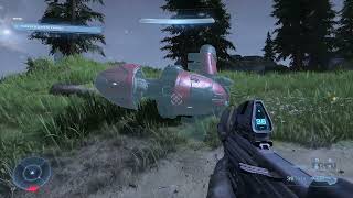 New bug - Halo Infinite