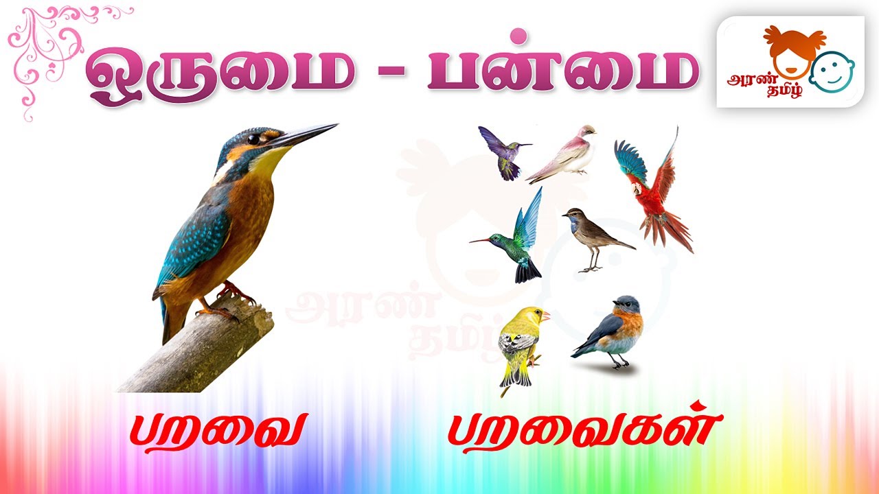  AranTamil Singular Plural Tamil Education For All tnpc 