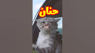 انا بحب حنان اغنية باسم حنان حنان نونو 