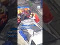 Bear captured after roaming through Japanese city