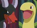 Pokemon bayleaf vs houndoom