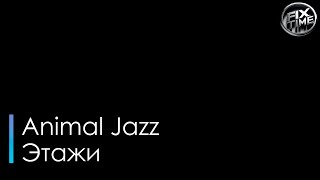 Animal Jazz Этажи караоке