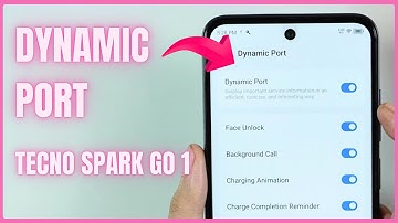 How to Enable Dynamic Port in Tecno Spark Go 1