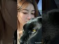 黑豹美女 #動物 #寵物